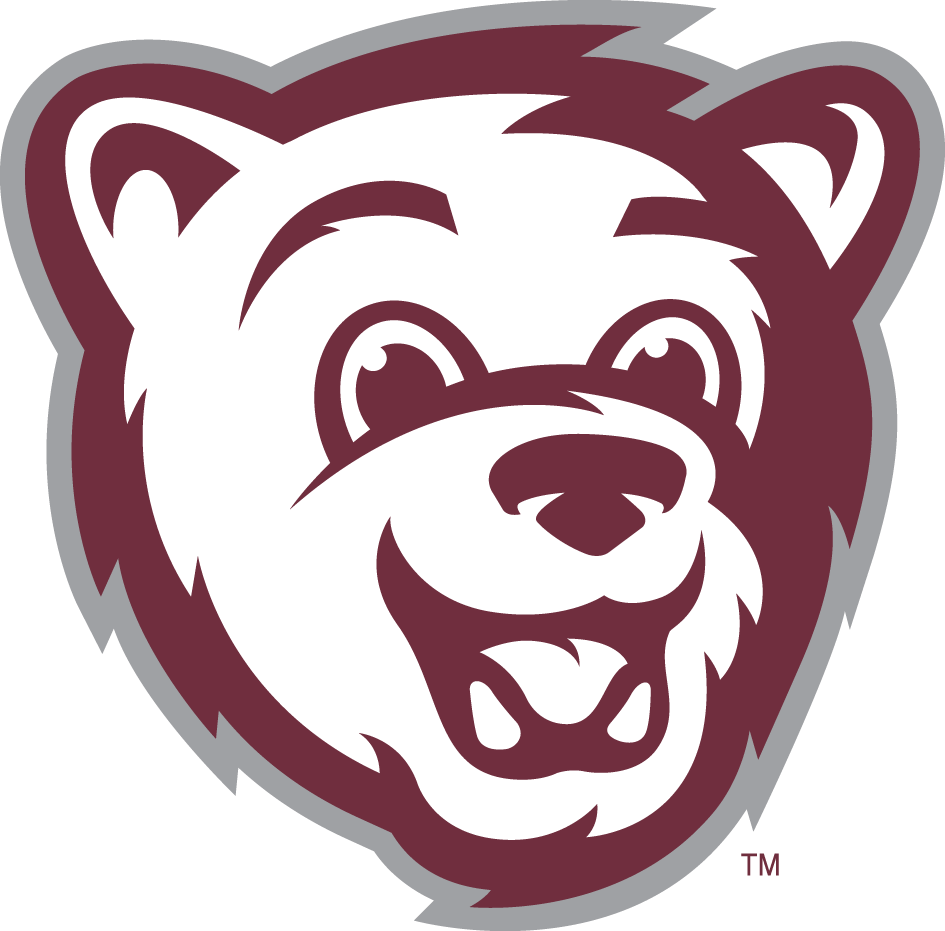 Montana Grizzlies 2010-Pres Mascot Logo v2 diy iron on heat transfer